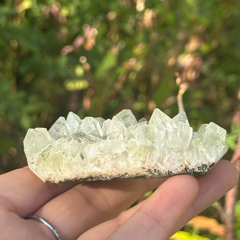 Apophyllite Cluster - Picture 5 of 6